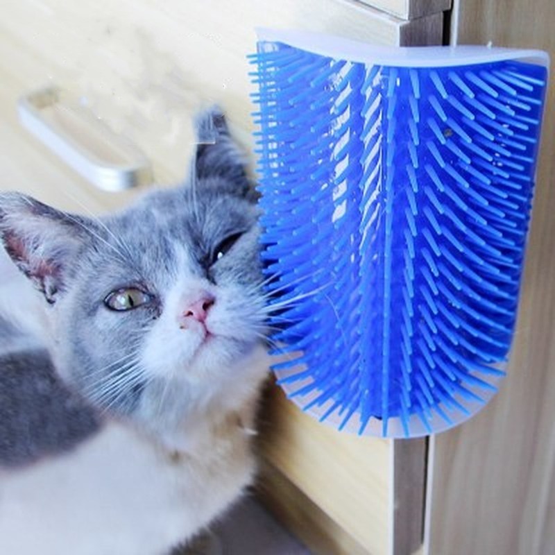 Cat massager wall brusher